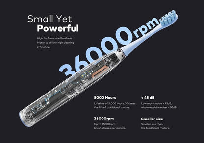 OralSavvy Electric Toothbrush IPX7 Waterproof 3 Modes - Chargieable Ultrasonic Automatic OralSavvy